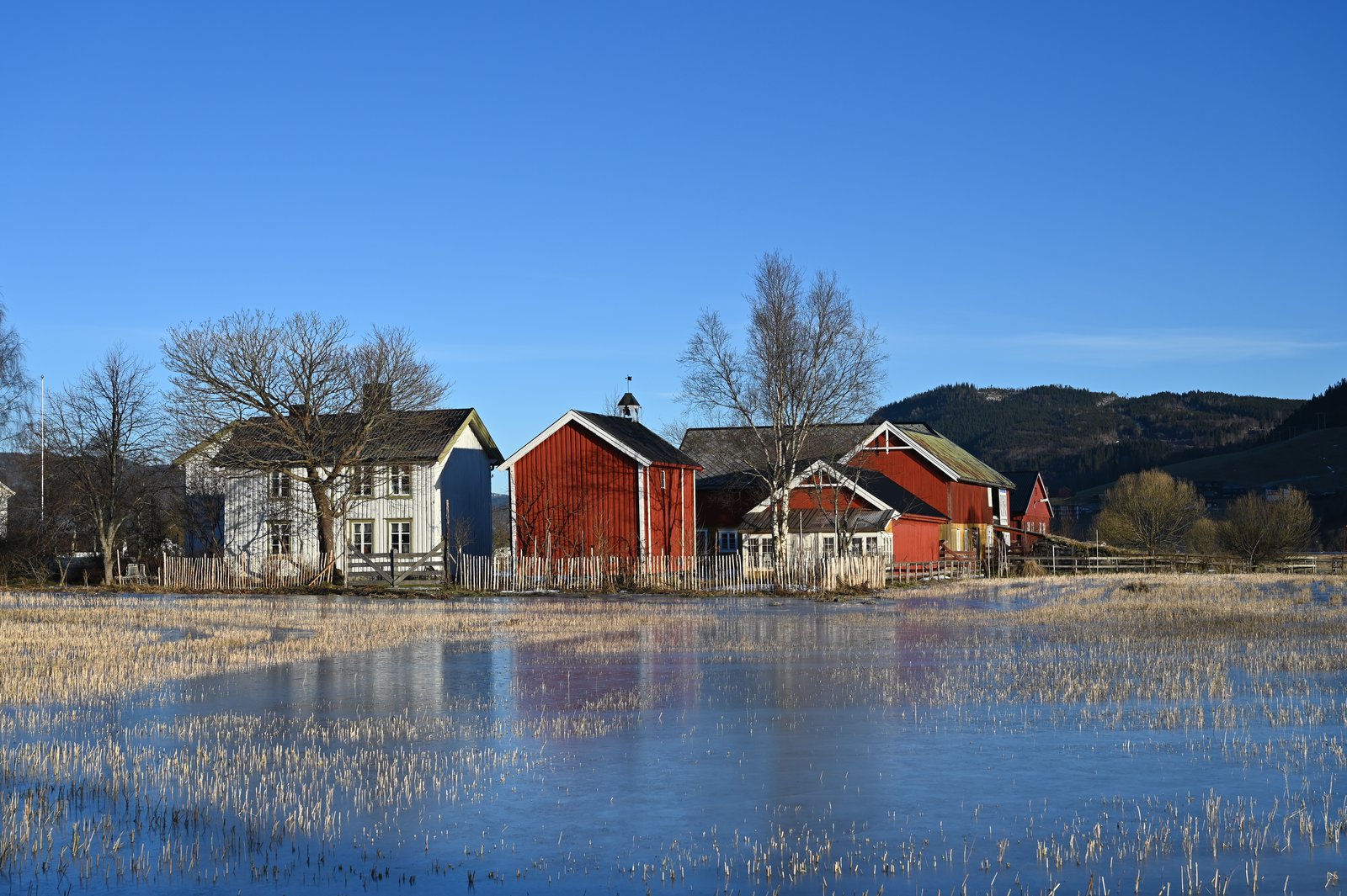 Fannremsgården spegla i vatnet med raud løe og kvitt trønderlån